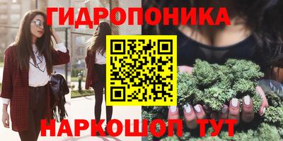 марихуана Кингисепп