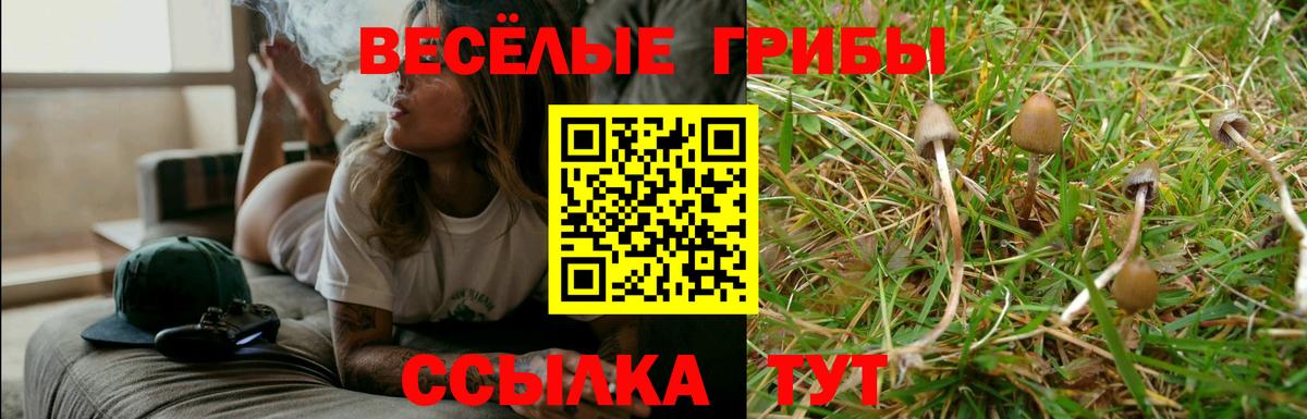 Галлюциногенные грибы MAGIC MUSHROOMS Якутск